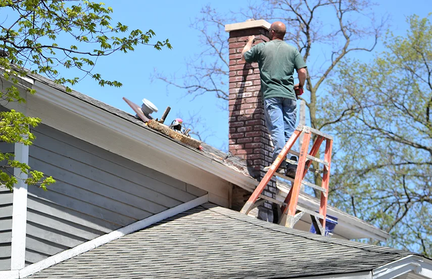 Chimney & Fireplace Inspections Services in St John, IN